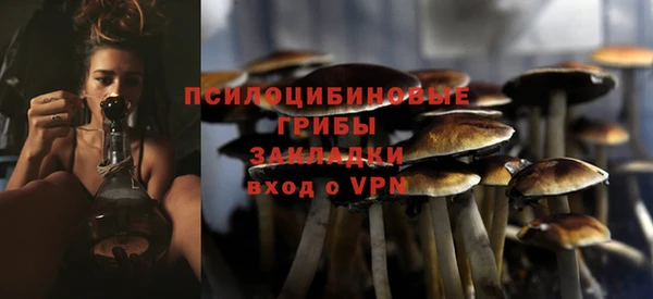 гидра Алексеевка