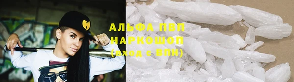 бошки Алексин