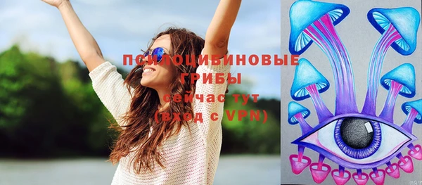 таблы Гусев