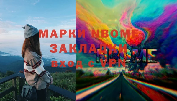 бошки Алексин