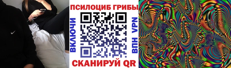 Псилоцибиновые грибы Cubensis купить наркотики сайты darknet Telegram Курганинск