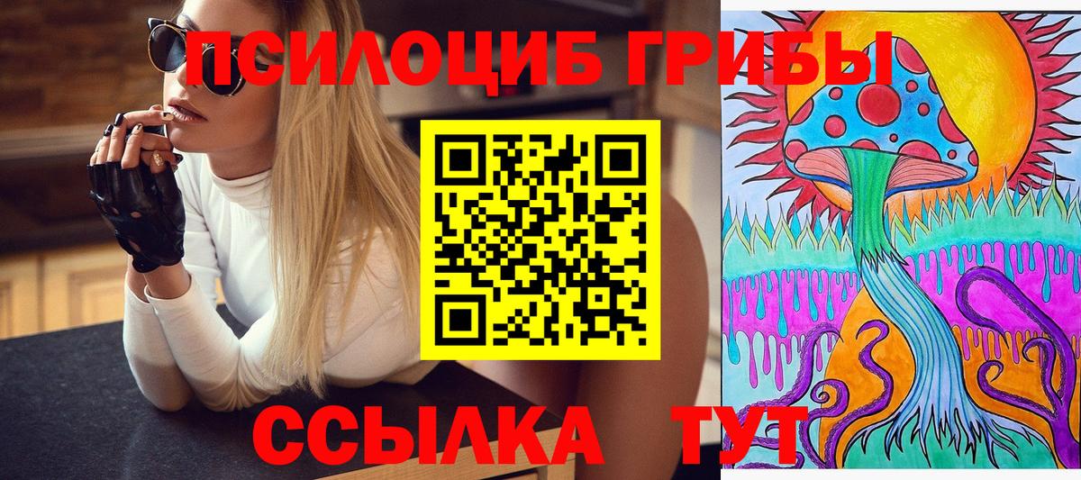 Псилоцибиновые грибы GOLDEN TEACHER  Вход с VPN  Курганинск 